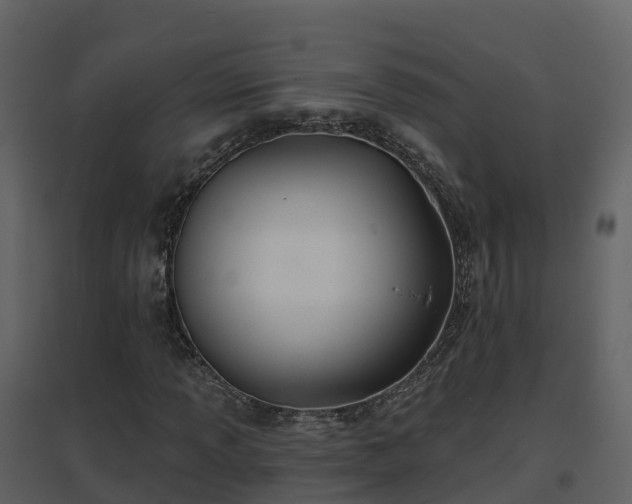 X0000096711013200802121220