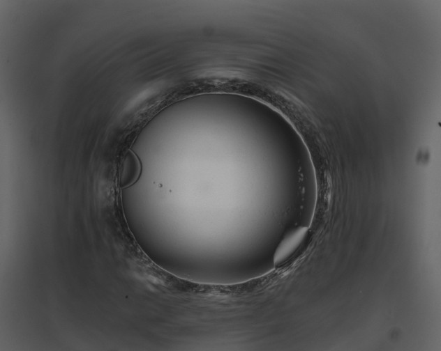 X0000096711014200802121220