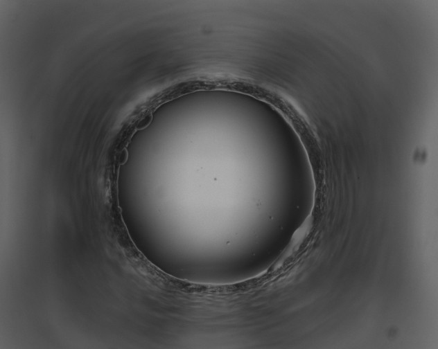 X0000096711016200802121220