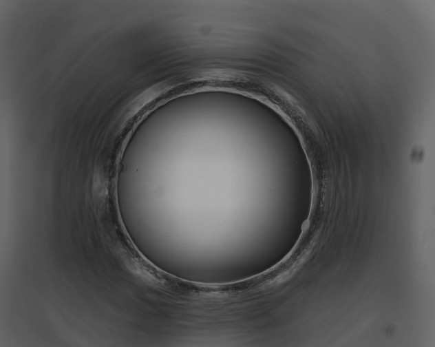 X0000096711017200802121220