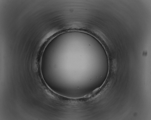 X0000096711018200802121220