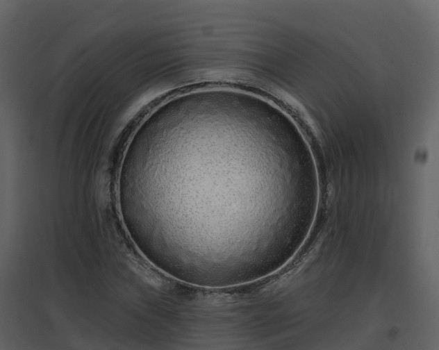 X0000096711019200802121220