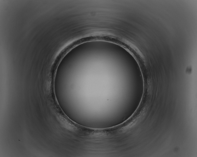 X0000096711021200802121220