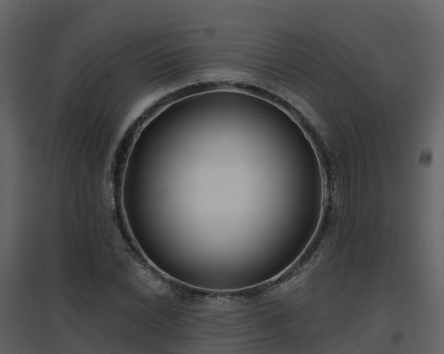 X0000096711022200802121220