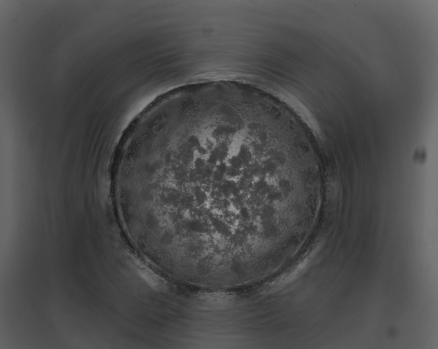 X0000096711023200802121220