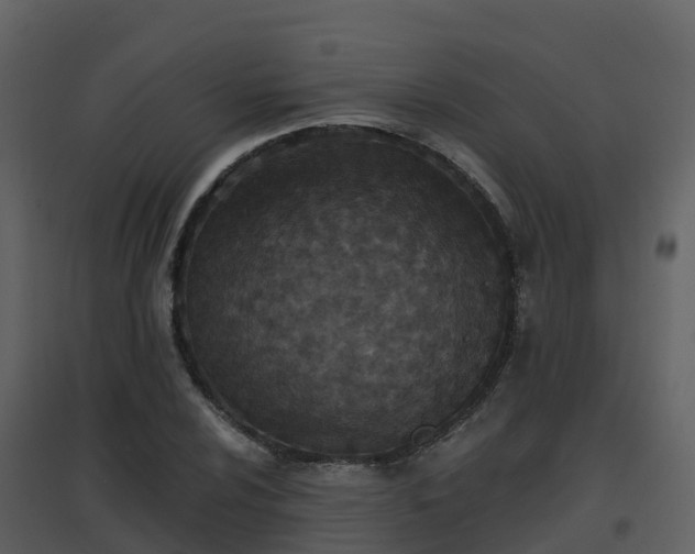 X0000096711024200802121220