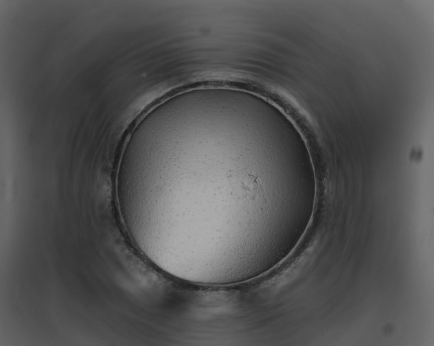 X0000096711025200802121220