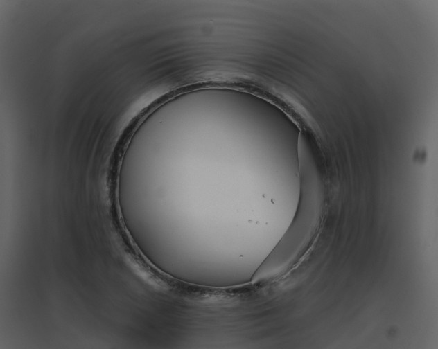 X0000096711026200802121220