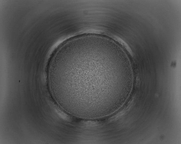 X0000096711027200802121220