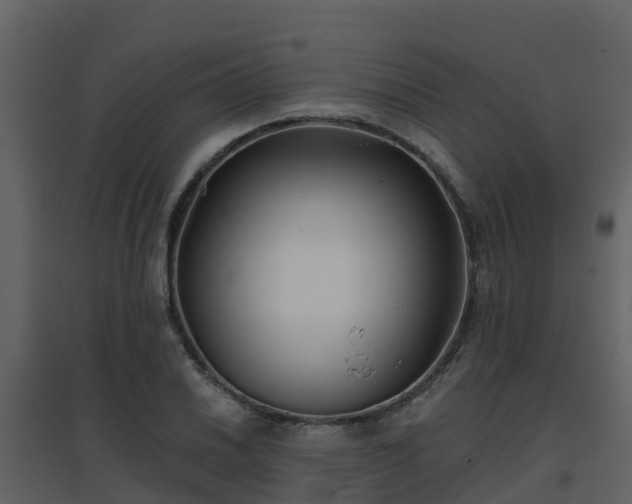 X0000096711030200802121220