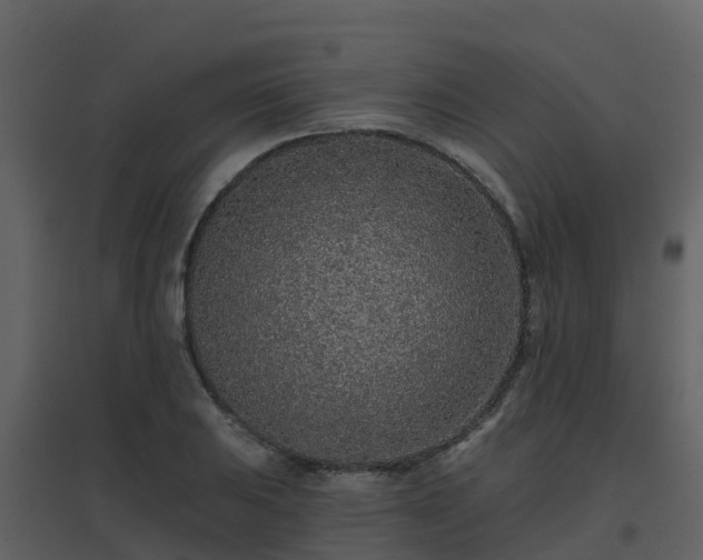 X0000096711031200802121220