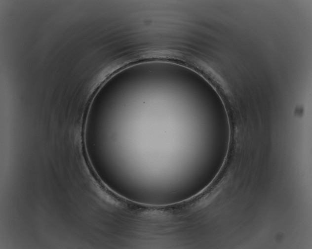 X0000096711033200802121220