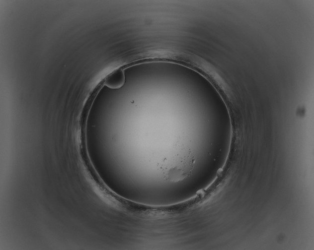 X0000096711034200802121220