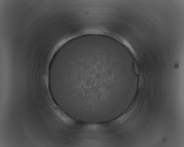 X0000096711035200802121220