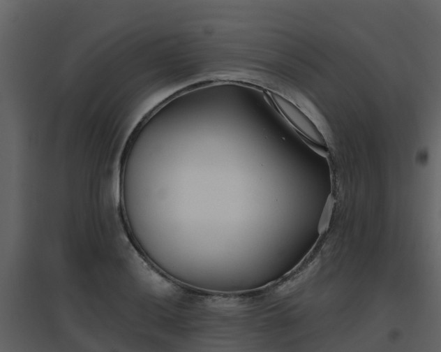 X0000096711036200802121220