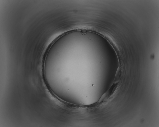 X0000096711038200802121220