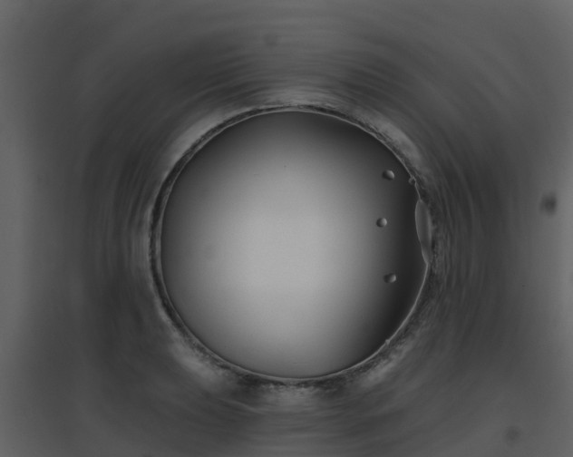 X0000096711039200802121220