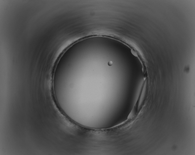 X0000096711040200802121220