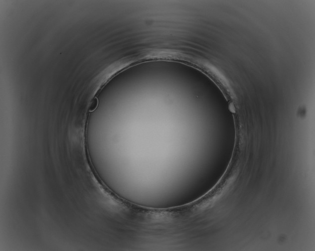 X0000096711041200802121220