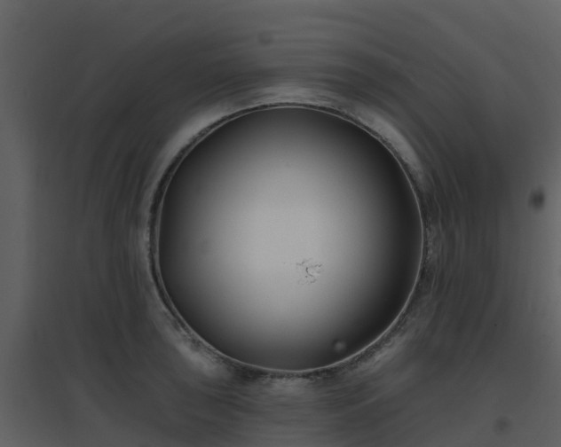 X0000096711043200802121221