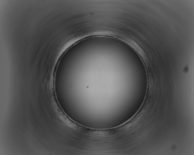 X0000096711044200802121221