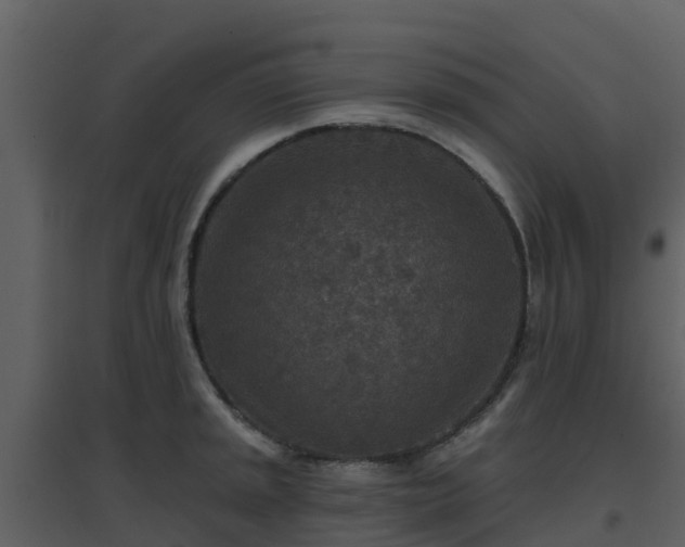 X0000096711045200802121221