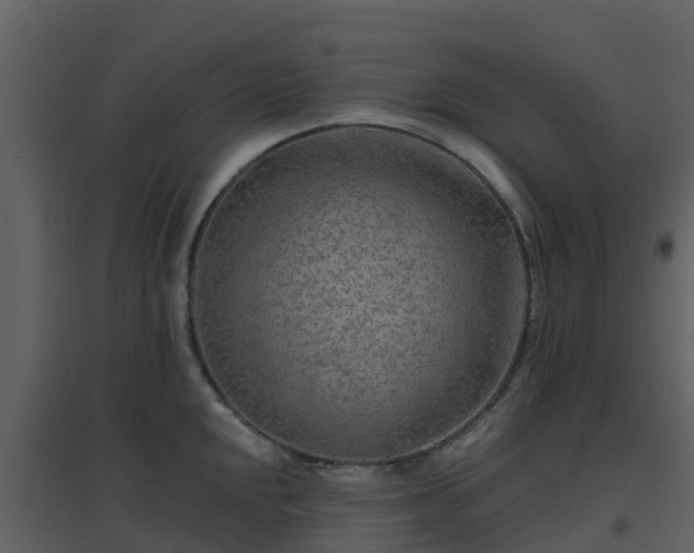 X0000096711048200802121221