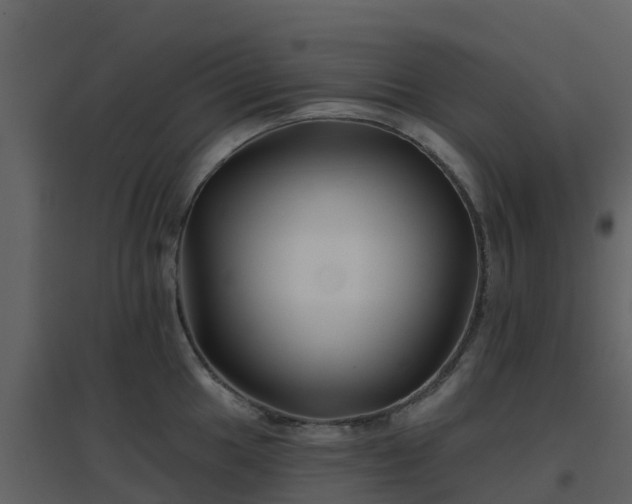 X0000096711049200802121221