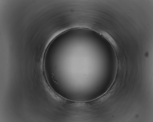 X0000096711052200802121221