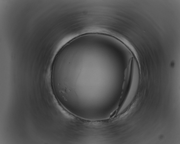 X0000096711053200802121221