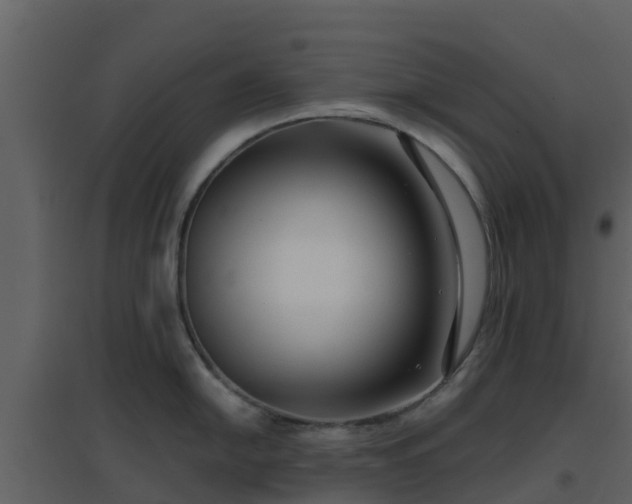 X0000096711054200802121221