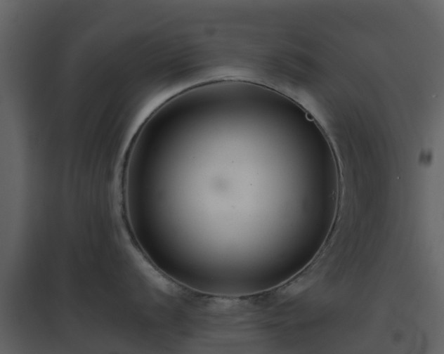 X0000096711056200802121221