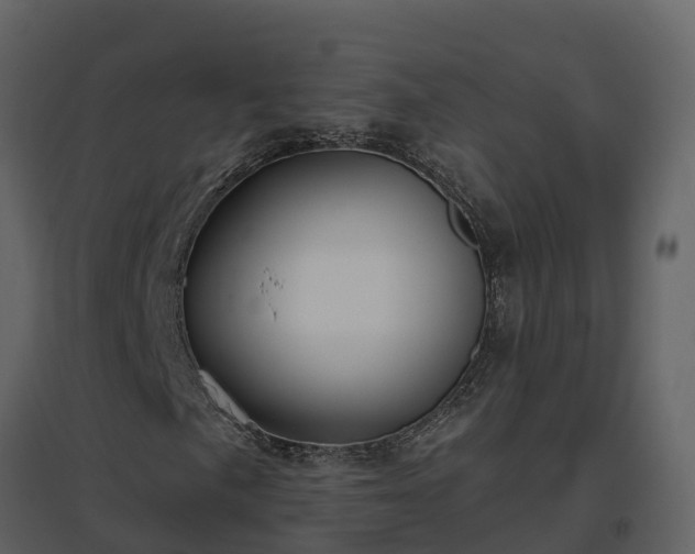 X0000096711057200802121220