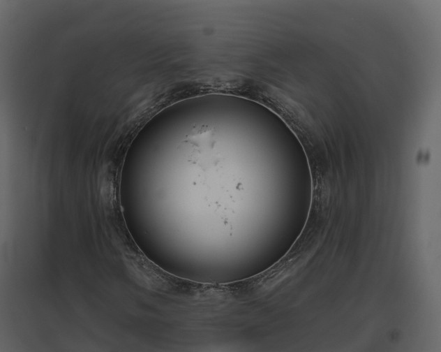 X0000096711058200802121220