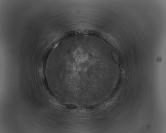 X0000096711060200802121220