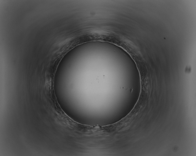 X0000096711061200802121220