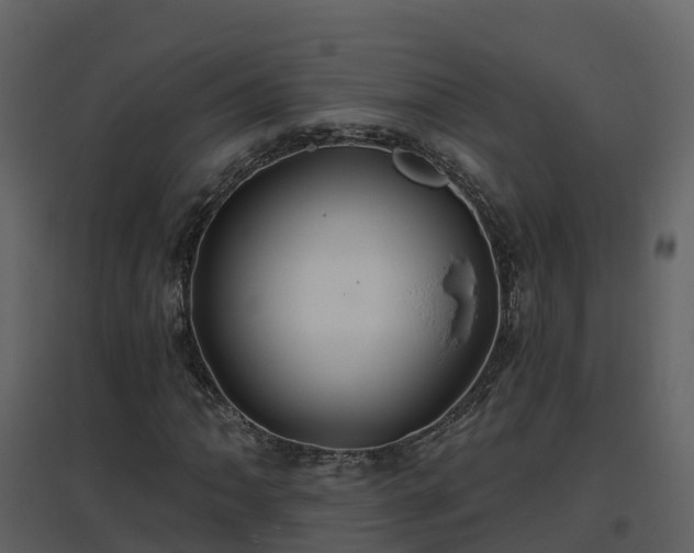 X0000096711062200802121220