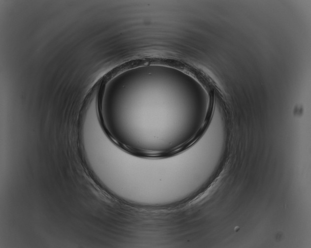 X0000096711065200802121220