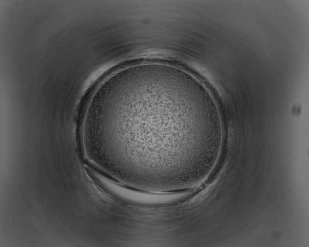 X0000096711066200802121220