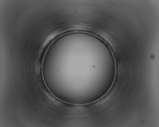 X0000096711067200802121220