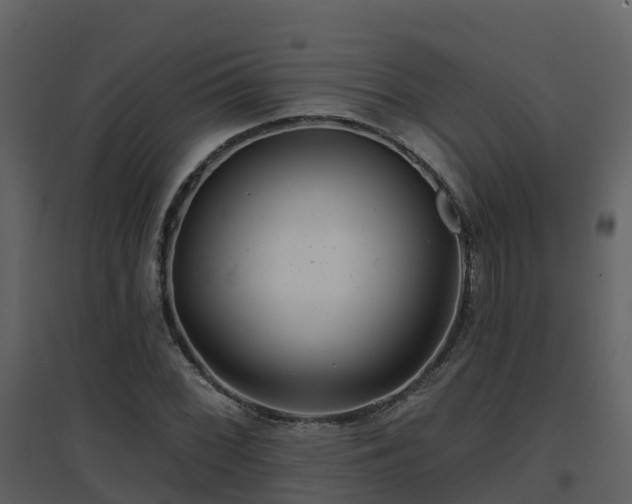 X0000096711068200802121220