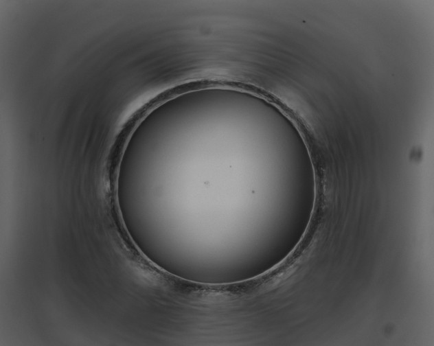 X0000096711070200802121220