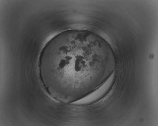 X0000096711071200802121220