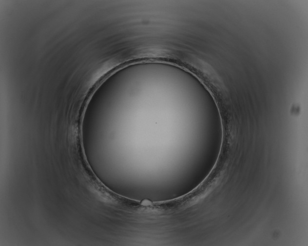 X0000096711073200802121220