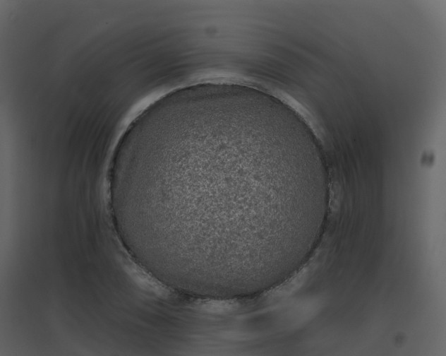 X0000096711074200802121220