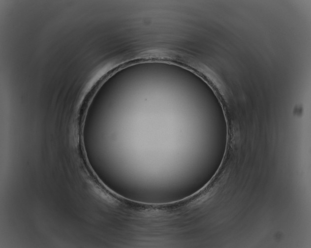 X0000096711075200802121220