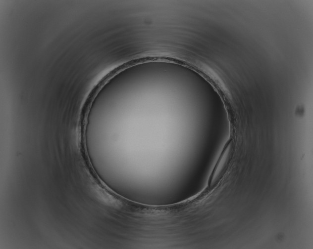 X0000096711076200802121220