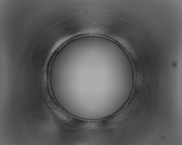 X0000096711078200802121220