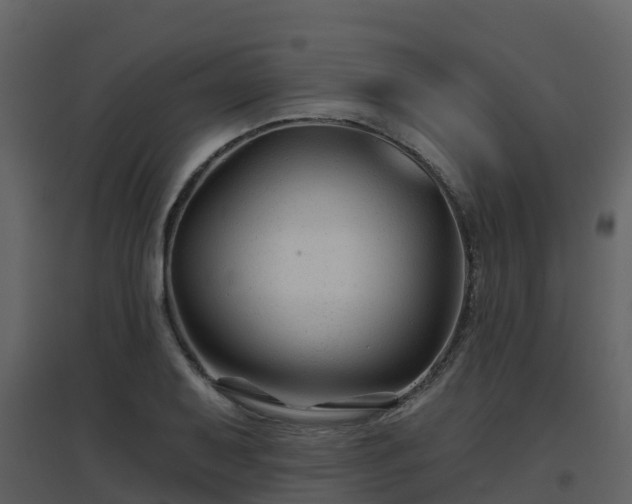 X0000096711079200802121220