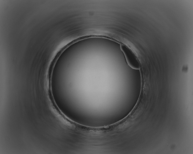 X0000096711080200802121220